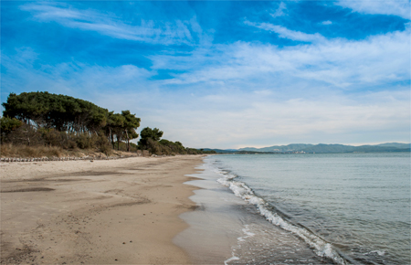 Urlaub in Scarlino, Provinz Grosseto, Toskana